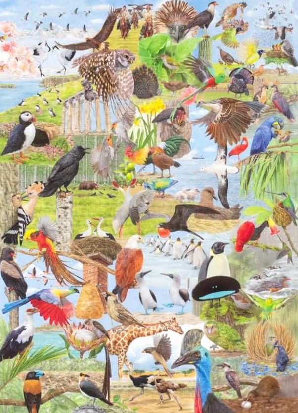 50 madár a világ körül Laurence King 1000 darabos kirakó puzzle (LK - 9781399620024) - puzzlegarden