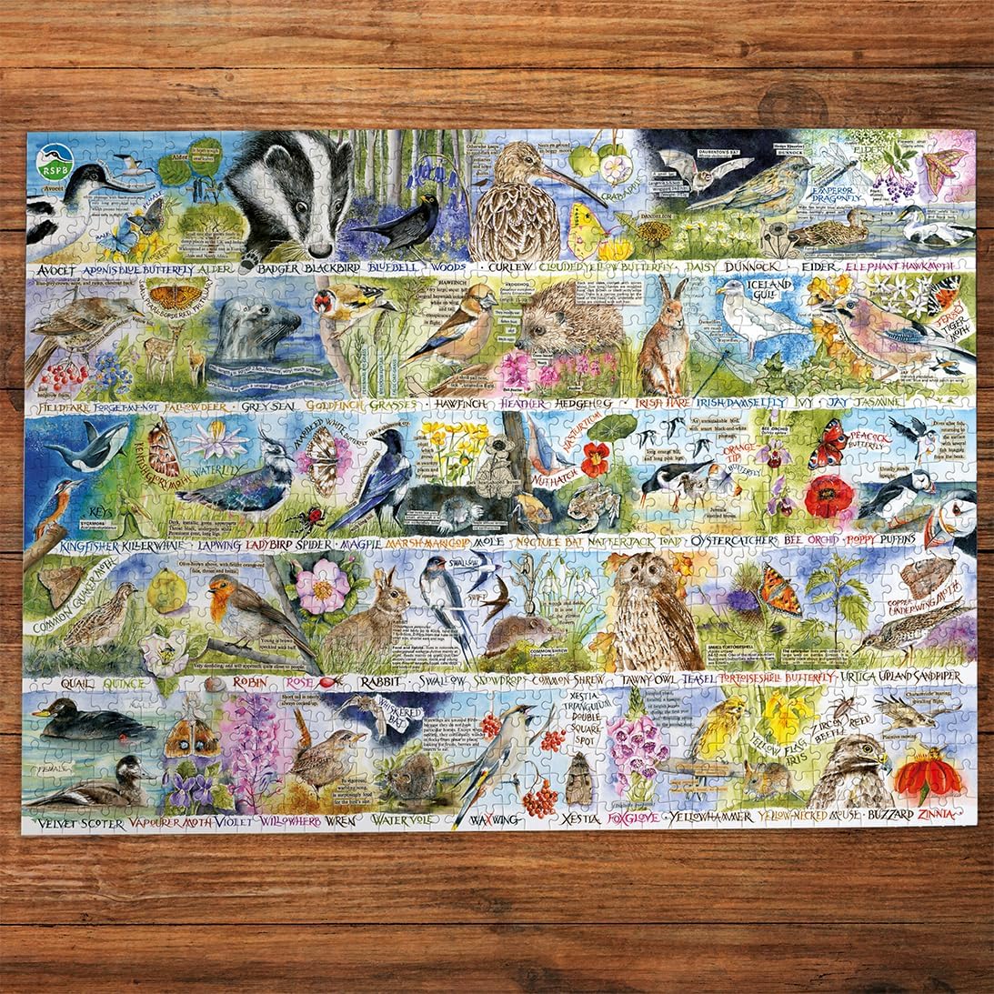 RSPB: Madárdal és kék harangvirág
