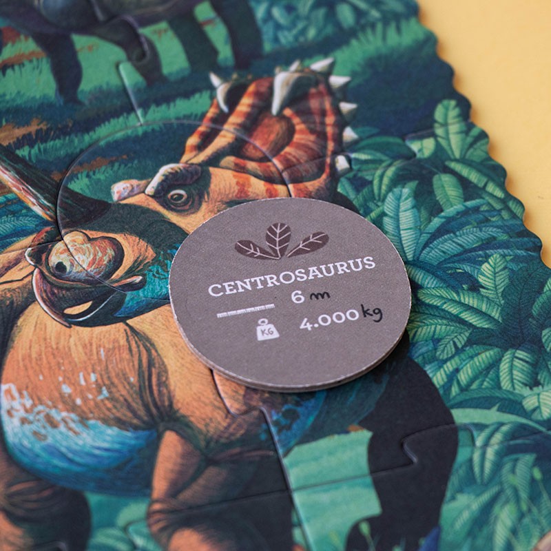 A dinoszauruszok kora