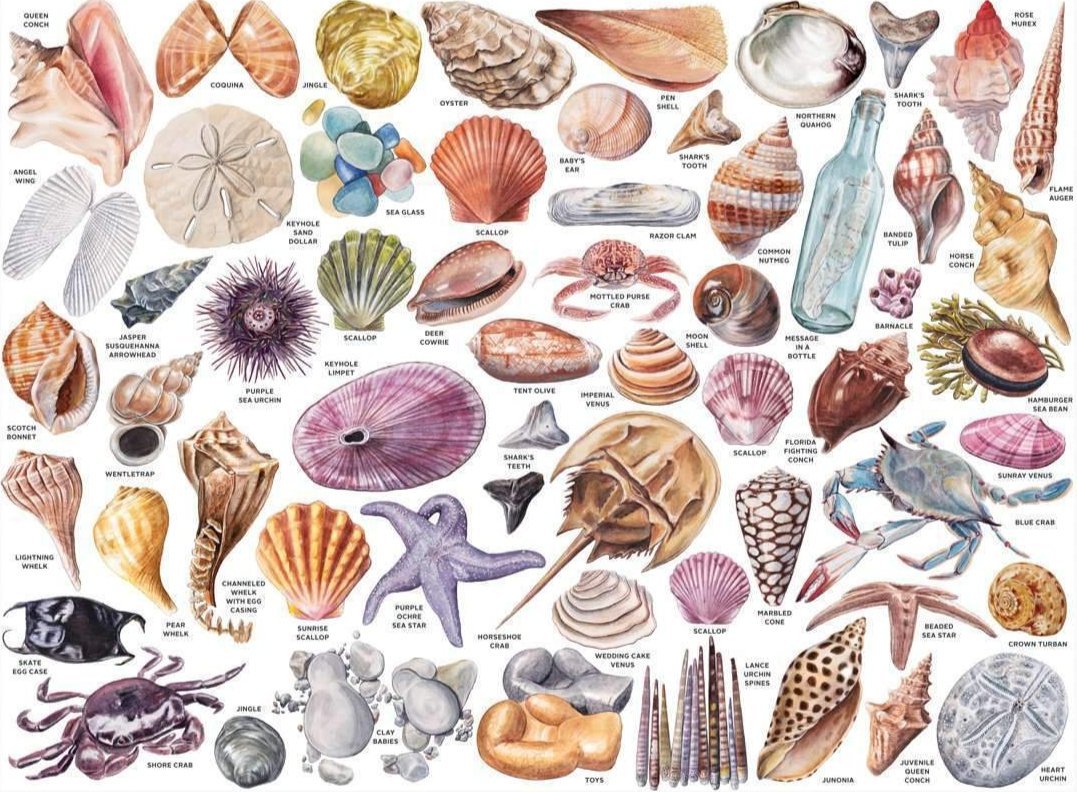 A tengerparti gyűjtögető Galison 1000 darabos kirakó puzzle (GA - 9780735357051) - puzzlegarden