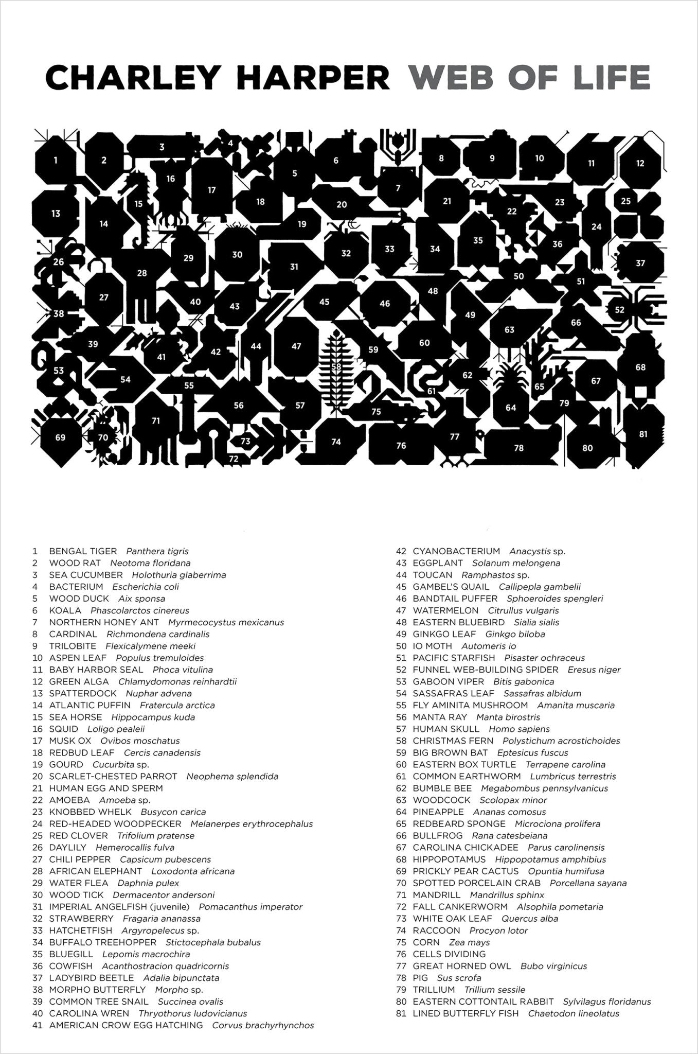 Az élet hálója Pomegranate 2000 darabos kirakó puzzle (POM - AA1110) - puzzlegarden