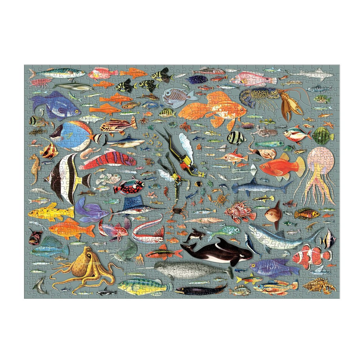 Búvárkodás Galison 1000 darabos kirakó puzzle (GA - 9780735364844) - puzzlegarden