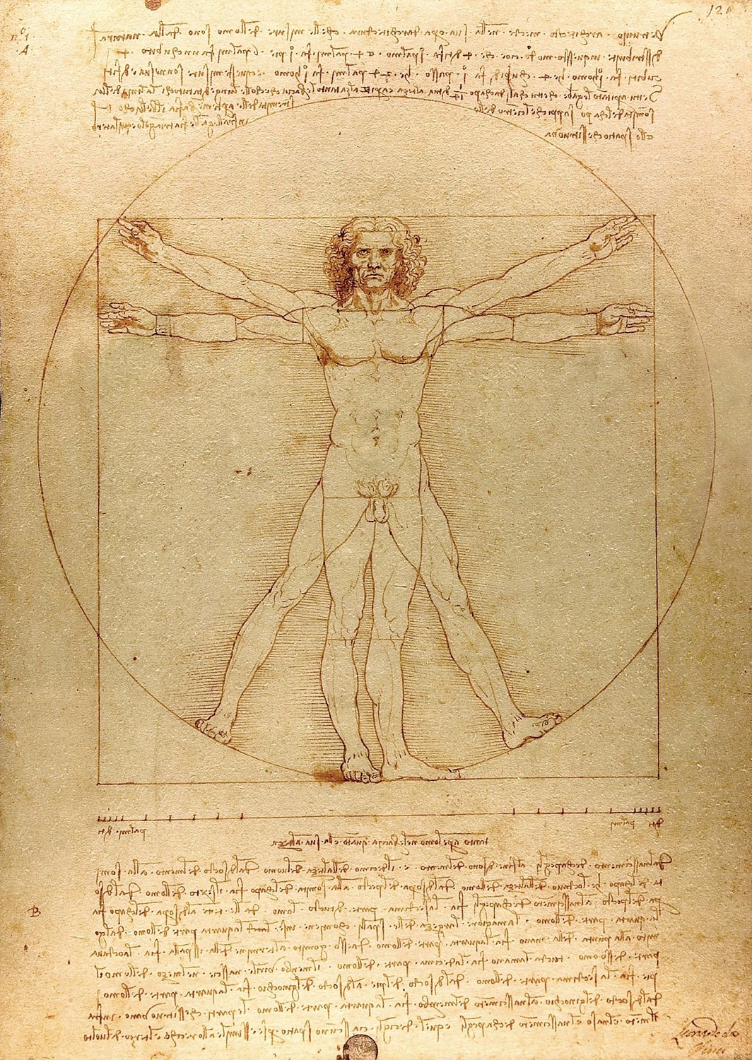 Da Vinci - Vitruvius - tanulmány Enjoy 1000 darabos kirakó puzzle (EN - 1557) - puzzlegarden