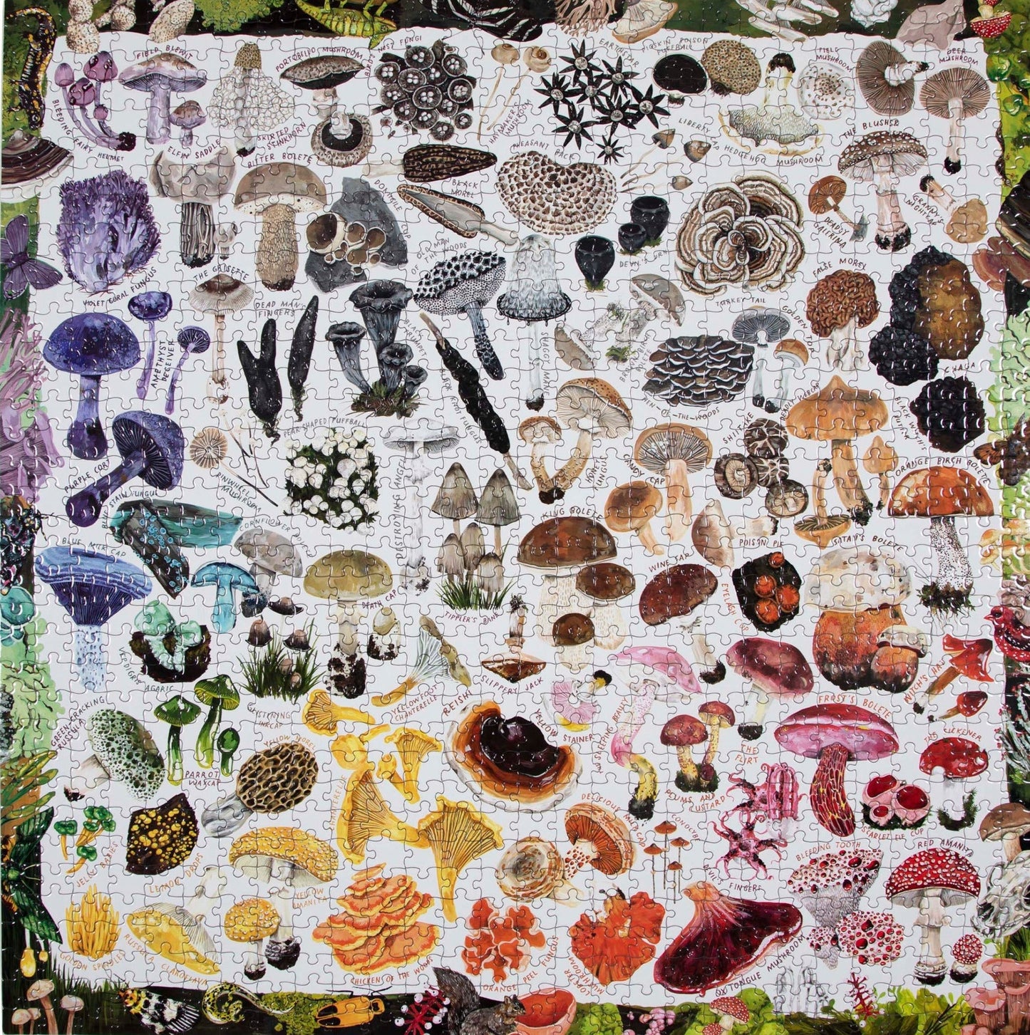 Gomba Szivárvány Eeboo 1000 darabos kirakó puzzle (EB - PZTMRW) - puzzlegarden