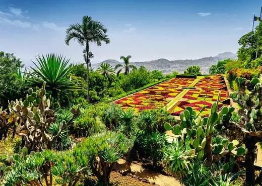 Gyönyörű Kertek - Botanikus Kert, Madeira, Portugália Ravensburger 1000 darabos kirakó puzzle (RA - 12000853) - puzzlegarden