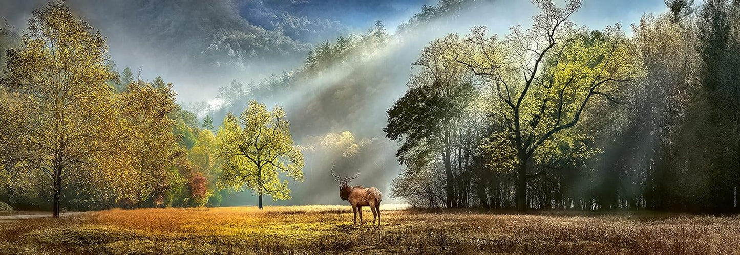 Humboldt - Ébredés - panoráma HEYE 1000 darabos kirakó puzzle (HE - 29947) - puzzlegarden