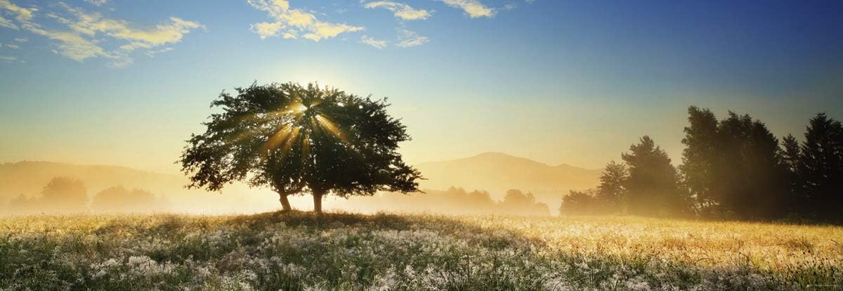 Humboldt - Fényjáték - panoráma HEYE 1000 darabos kirakó puzzle (HE - 29901) - puzzlegarden