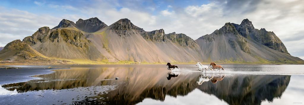 Humboldt - Izlandi lovak HEYE 1000 darabos kirakó puzzle (HE - 29946) - puzzlegarden