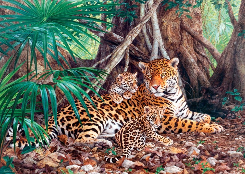 Jaguárok a dzsungelben Castorland 3000 darabos kirakó puzzle (C - 300280) - puzzlegarden