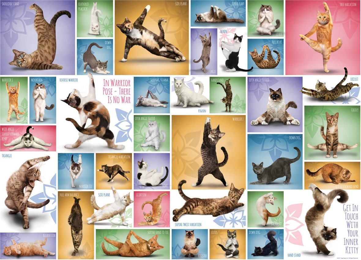 Jógázó Macskák EuroGraphics 1000 darabos kirakó puzzle (EUR - 6000 - 0953) - puzzlegarden