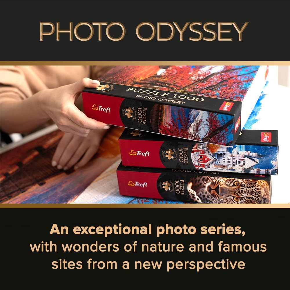 Kis Velence, Colmar, Franciaország Trefl 1000 darabos kirakó puzzle (TR - 10816) - puzzlegarden