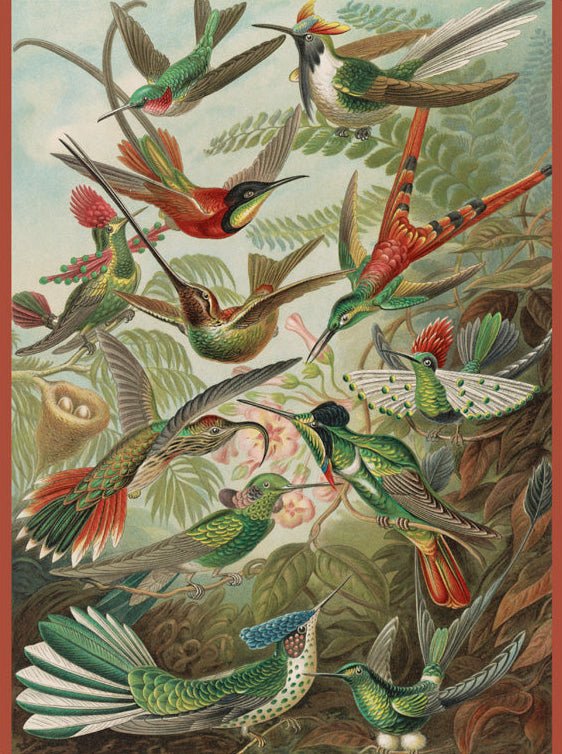 Kolibrik Pomegranate 300 darabos kirakó puzzle (POM - JK053) - puzzlegarden