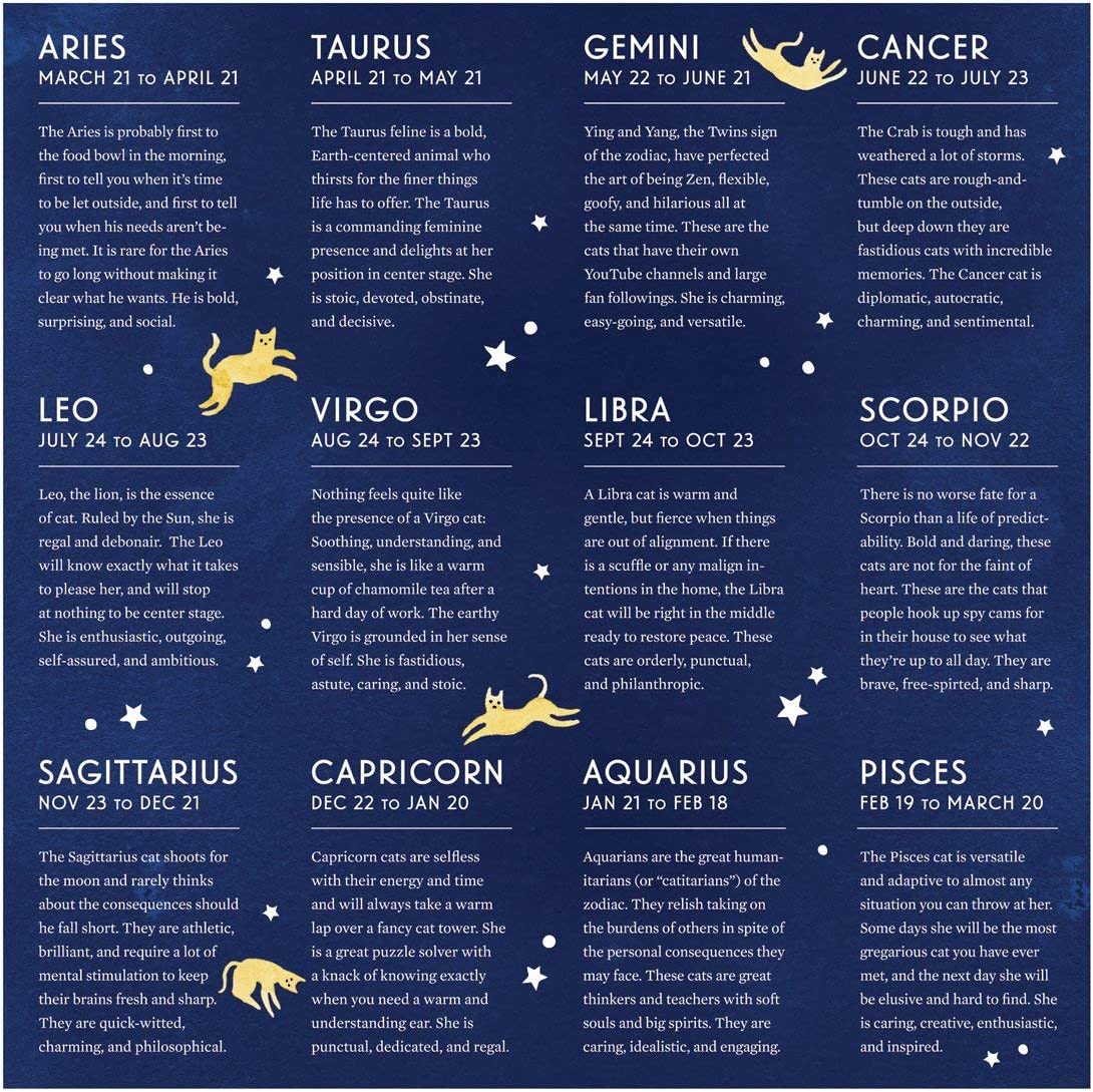 Macska Zodiákus Galison 500 darabos kirakó puzzle (GA - M052520S - CZ) - puzzlegarden