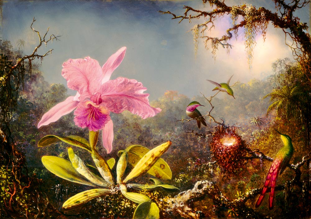 Martin Johnson Heade - Cattleya Orchidea és három Kolibri Bluebird 1000 darabos kirakó puzzle (BB - P - 60097) - puzzlegarden