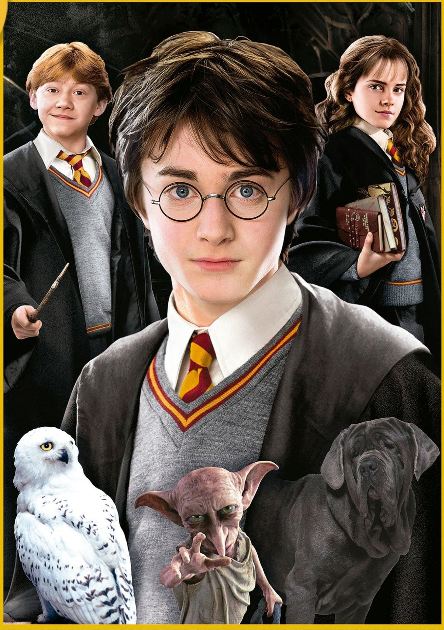 MiNi Puzzle - Harry Potter és a Titkok Kamrája Educa 1000 darabos kirakó puzzle (ED - 19490) - puzzlegarden