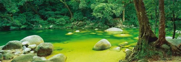 Mossman Gorge - Queensland, Ausztrália - Panoráma Schmidt Spiele 1000 darabos kirakó puzzle (SCH - 59286) - puzzlegarden