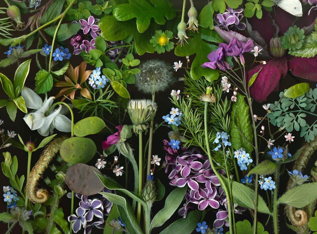 Orgona virágok Pomegranate 1000 darabos kirakó puzzle (POM - AA1087) - puzzlegarden