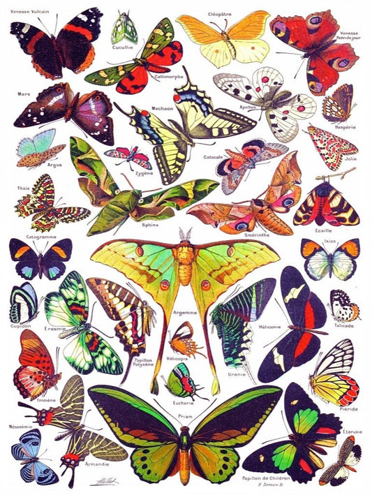Pillangók New York Puzzle Company 1000 darabos kirakó puzzle (NYPC - PD633) - puzzlegarden