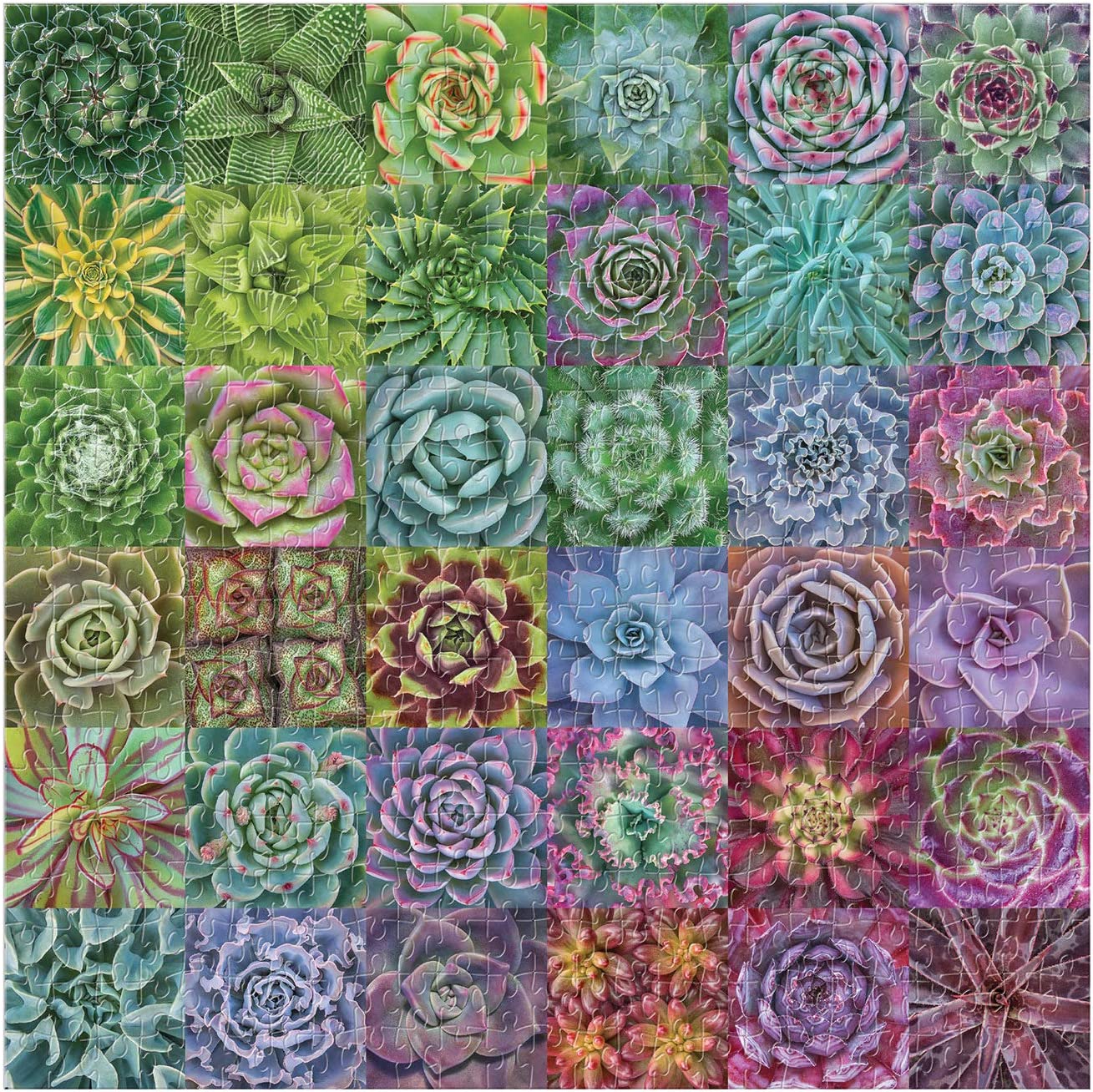 Pompás Pozsgások Galison 500 darabos kirakó puzzle (GA - M052520S - SS) - puzzlegarden