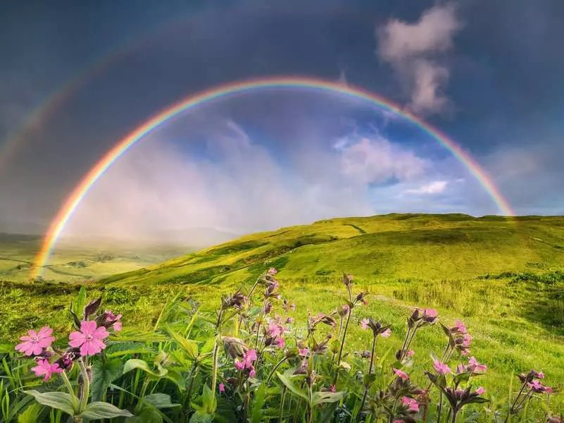 Power of Nature - Szivárványvidék Ravensburger 1500 darabos kirakó puzzle (RA - 12000800) - puzzlegarden