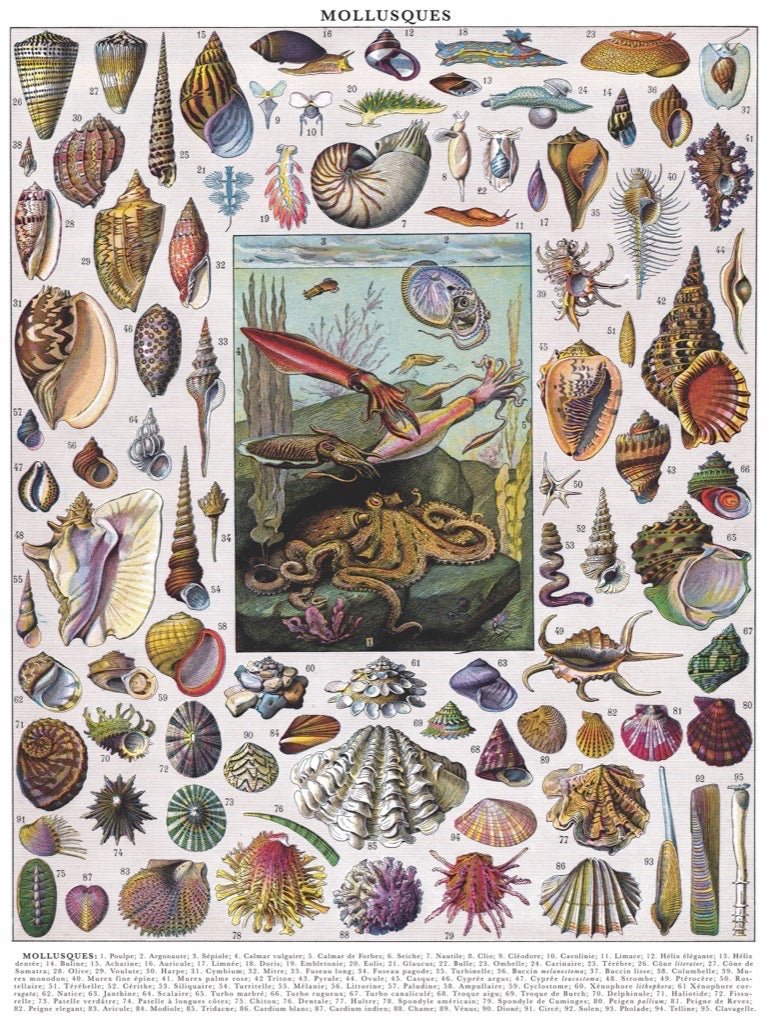 Puhatestűek New York Puzzle Company 1000 darabos kirakó puzzle (NYPC - NPZPD1711) - puzzlegarden
