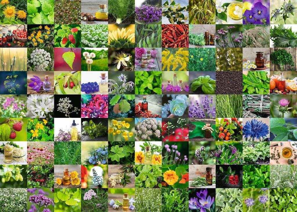 99 Fűszernövény Ravensburger 1000 darabos kirakó puzzle (RA - 15991) - puzzlegarden