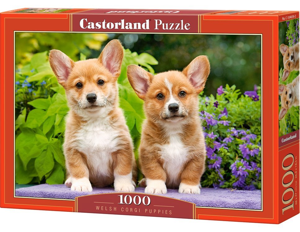 Corgi kiskutyák Castorland 1000 darabos kirakó puzzle (C - 104659) - puzzlegarden
