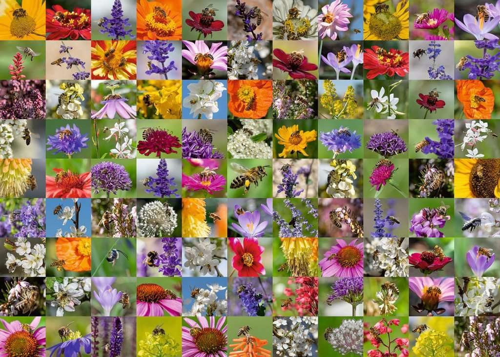 99 Méhecske Ravensburger 1000 darabos kirakó puzzle (RA - 17386) - puzzlegarden