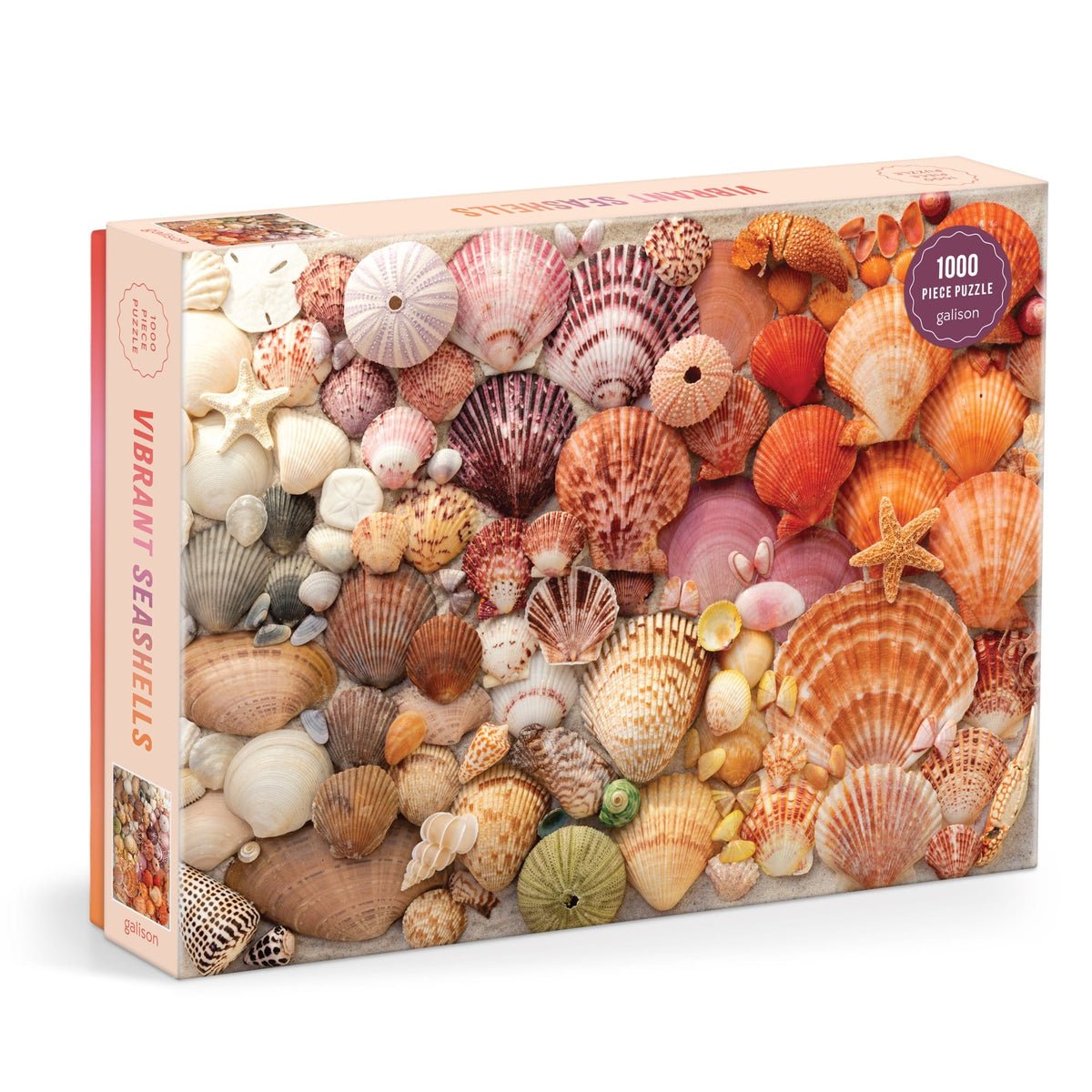 Ragyogó Kagylók Galison 1000 darabos kirakó puzzle (GA - 9780735380608) - puzzlegarden