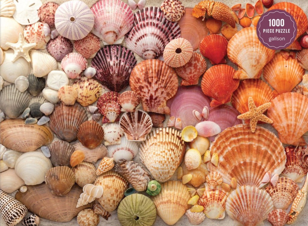 Ragyogó Kagylók Galison 1000 darabos kirakó puzzle (GA - 9780735380608) - puzzlegarden