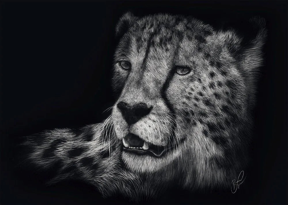 Sebesség - Gepárd: A Kecsesség Megtestesítője Schmidt Spiele 1000 darabos kirakó puzzle (SCH - 58542) - puzzlegarden