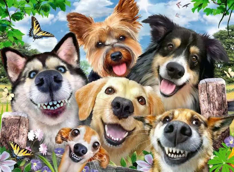 Szelfik – Kutyák boldogsága Ravensburger 500 darabos kirakó puzzle (RA - 12000532) - puzzlegarden
