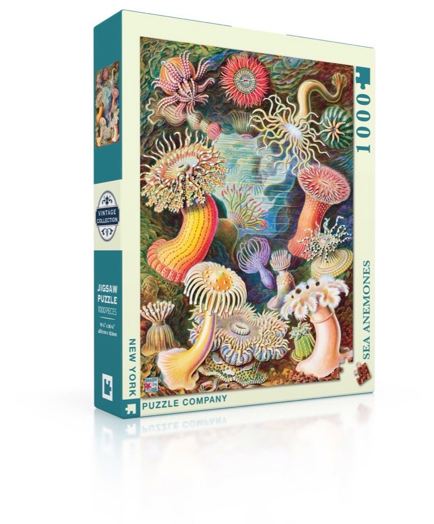 Tengeri Anemónák New York Puzzle Company 1000 darabos kirakó puzzle (NYPC - NPZPD1921) - puzzlegarden