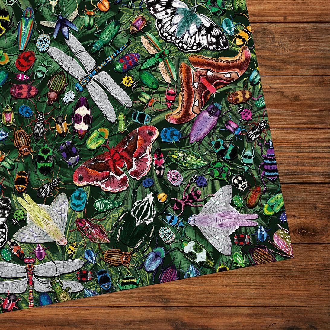 The Art File: Szárnyasok gyűjteménye Gibsons 1000 darabos kirakó puzzle (G - G7219) - puzzlegarden