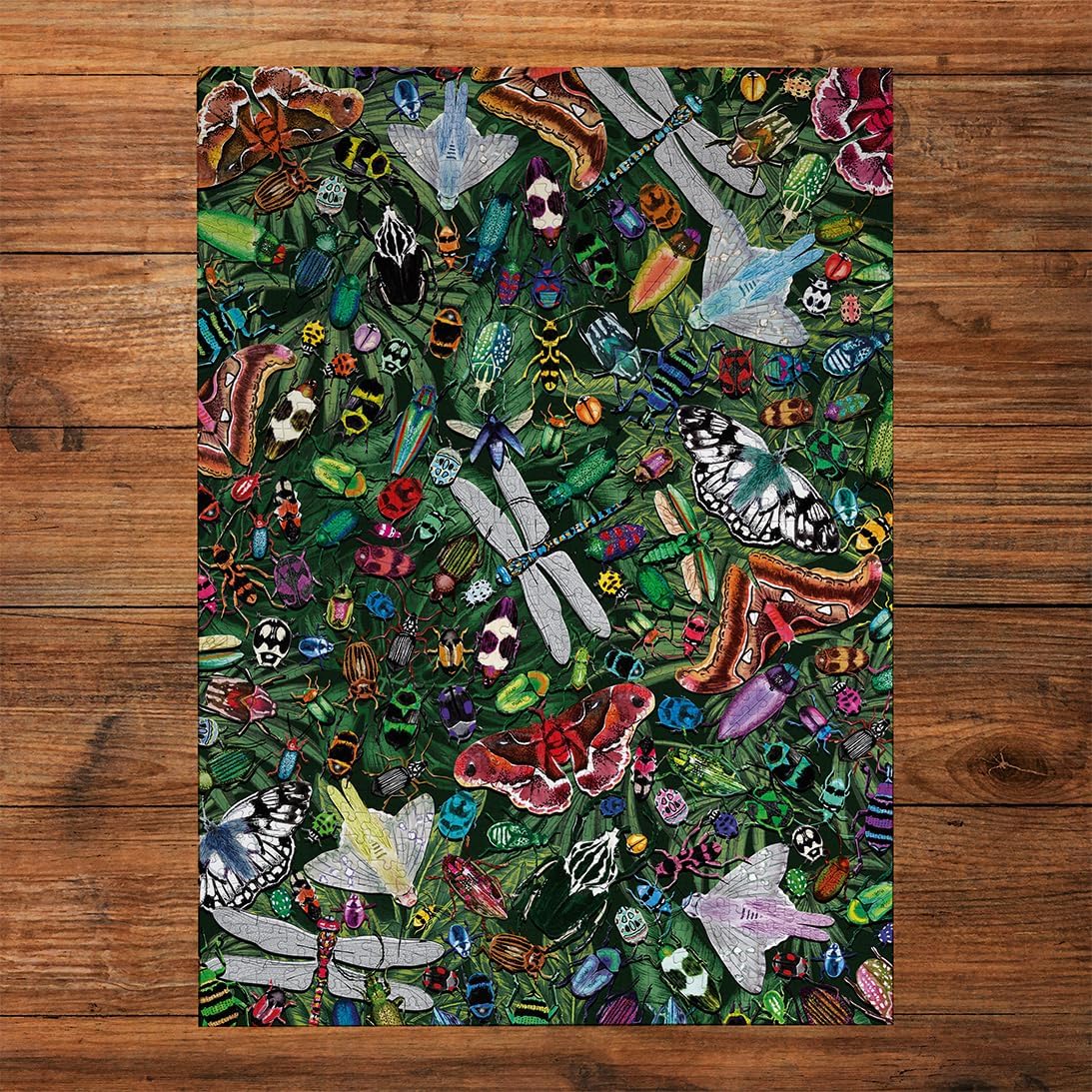 The Art File: Szárnyasok gyűjteménye Gibsons 1000 darabos kirakó puzzle (G - G7219) - puzzlegarden
