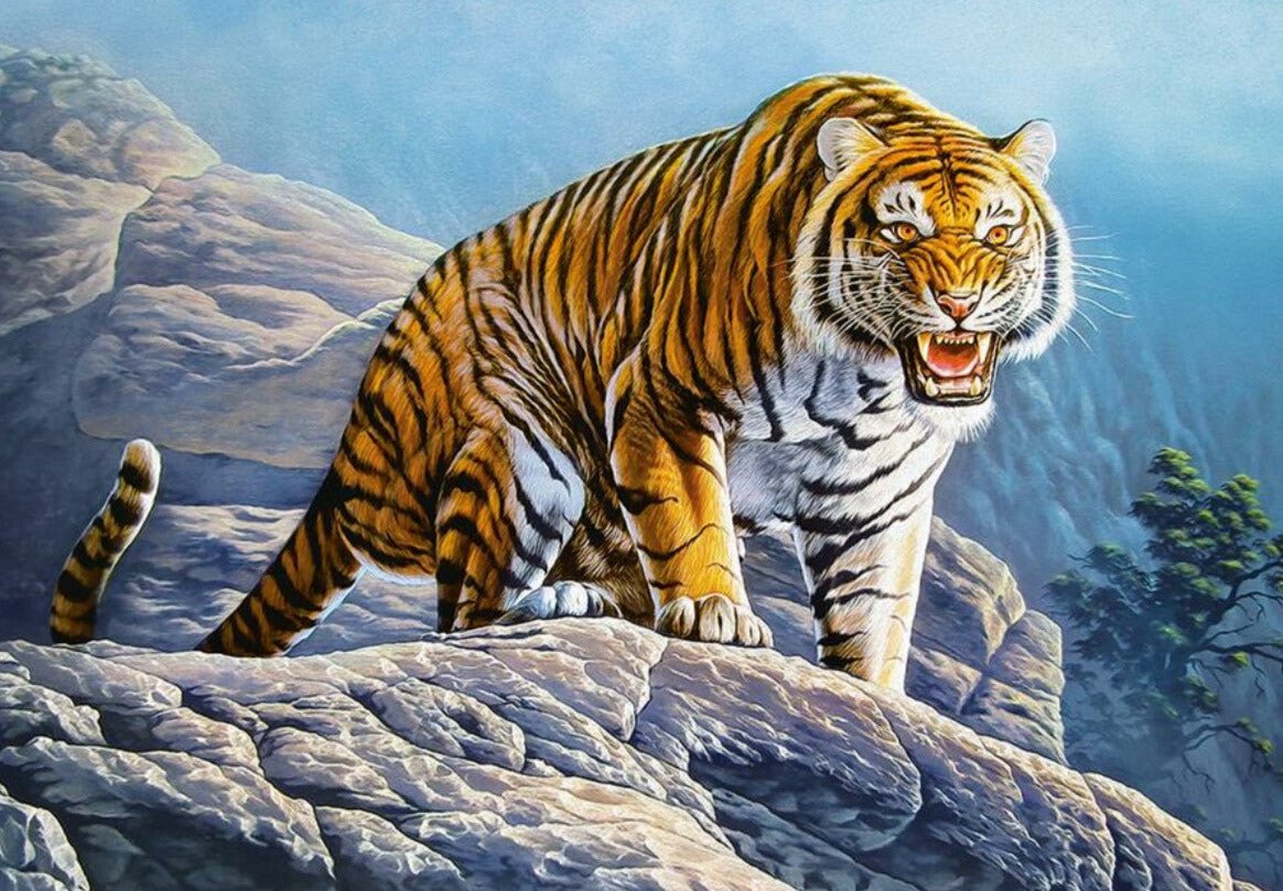 Tigris a sziklán Castorland 500 darabos kirakó puzzle (C - B - 53346) - puzzlegarden