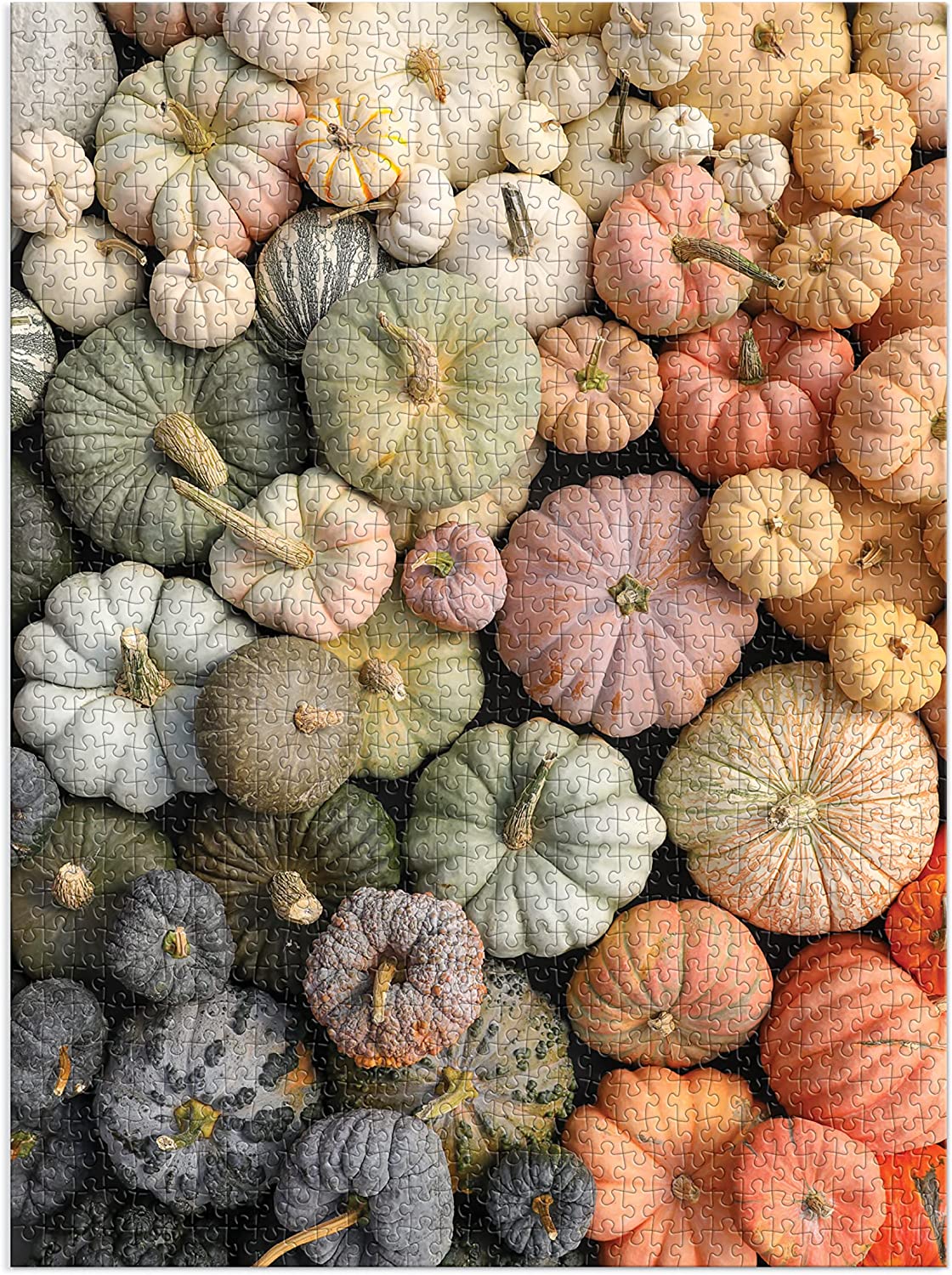Tökök Galison 1000 darabos kirakó puzzle (GA - M040121C) - puzzlegarden