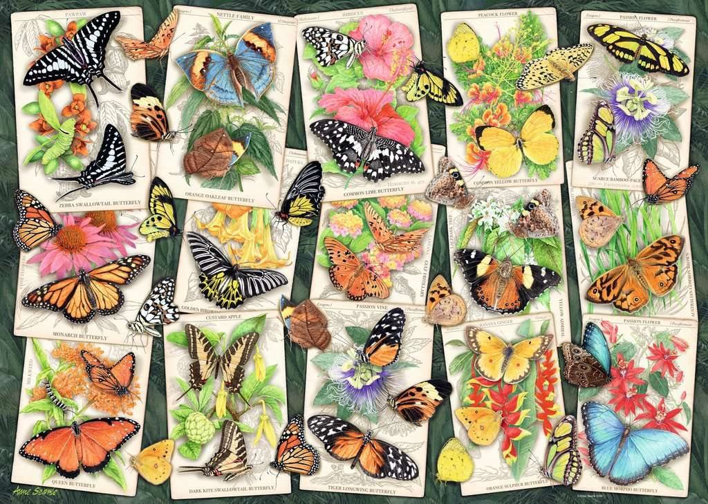 Trópusi Pillangók Ravensburger 1000 darabos kirakó puzzle (RA - 17624) - puzzlegarden