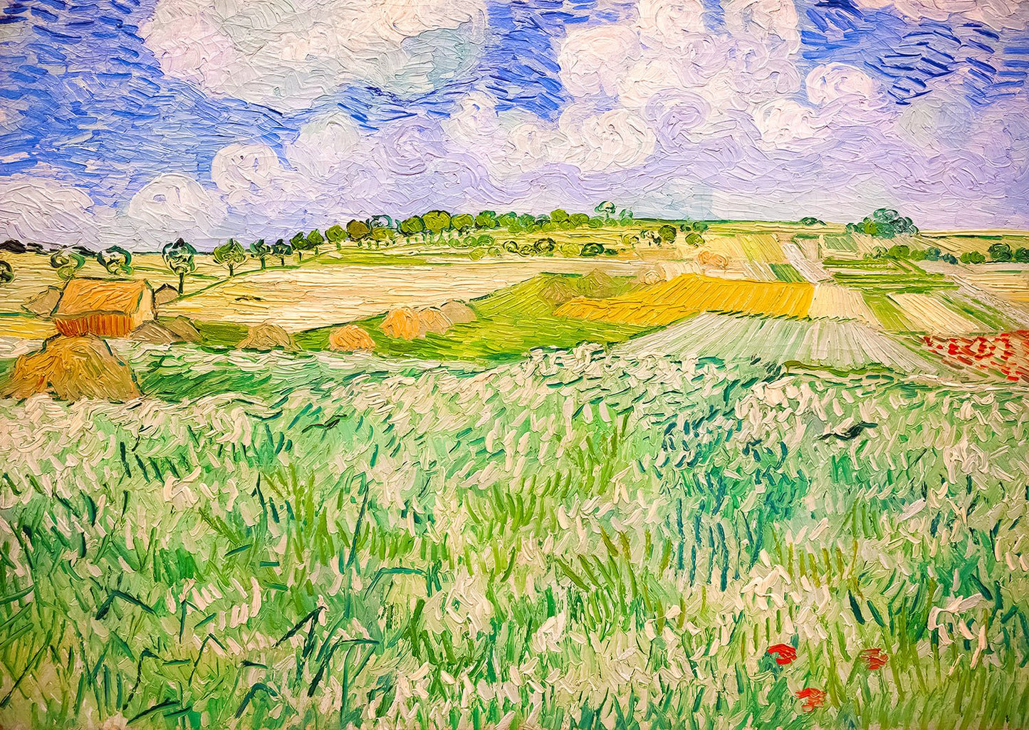 Van Gogh - Auvers - i Síkság Enjoy 1000 darabos kirakó puzzle (EN - 1176) - puzzlegarden