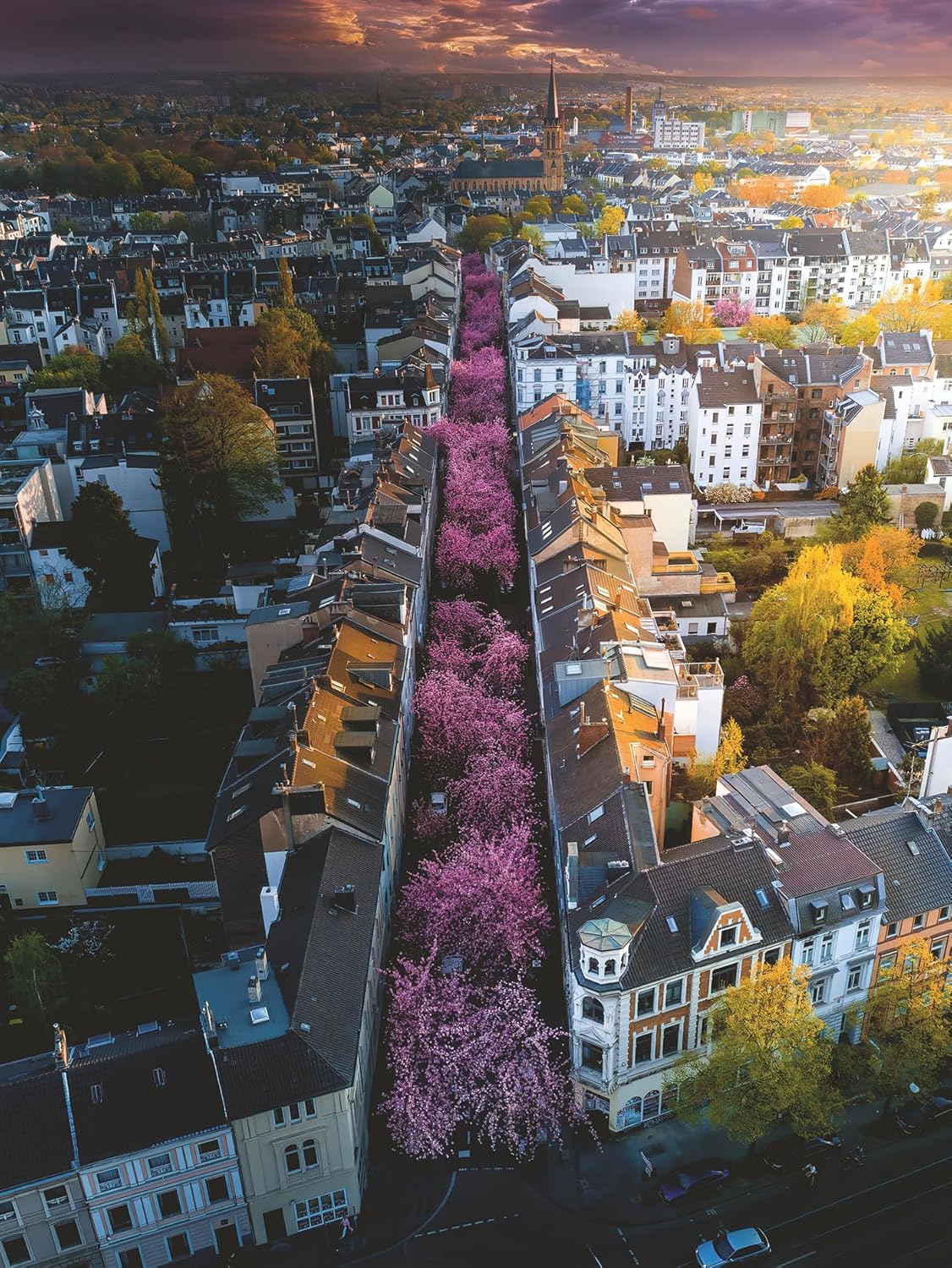 Virágzó Bonn Ravensburger 1500 darabos kirakó puzzle (RA - 12000730) - puzzlegarden