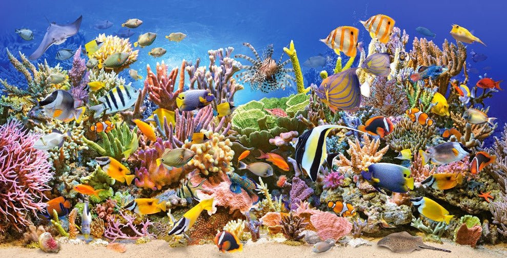 Víz alatti élet Castorland 4000 darabos kirakó puzzle (C - 400089) - puzzlegarden