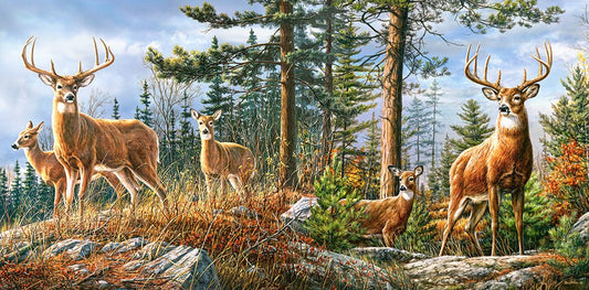 A Szarvascsalád Castorland 4000 darabos kirakó puzzle (C - 400317) - puzzlegarden
