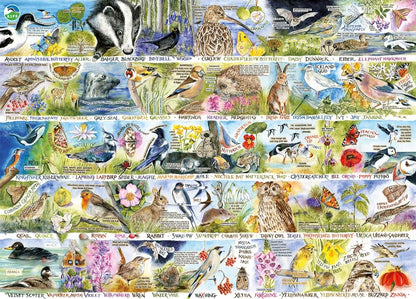 RSPB: Madárdal és kék harangvirág