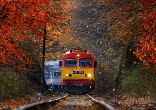 Csörgő a Bakonyban