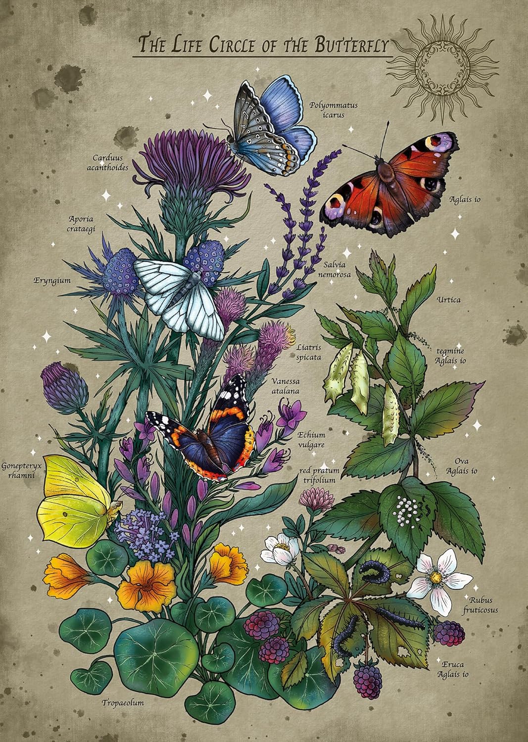 A lepkék életciklusa Ravensburger 1000 darabos kirakó puzzle (RA-12001435) - puzzlegarden