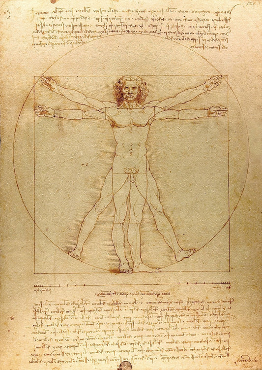 Da Vinci - Vitruvius - tanulmány Enjoy 1000 darabos kirakó puzzle (EN - 1557) - puzzlegarden