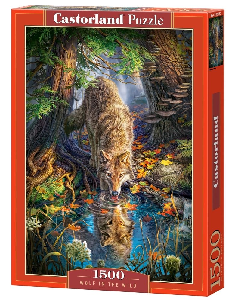 Farkas a vadonban Castorland 1500 darabos kirakó puzzle (C-151707 5904438151707) - puzzlegarden