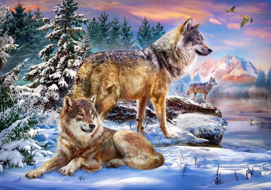 Farkasok birodalma Castorland 500 darabos kirakó puzzle (C - B - 53049) - puzzlegarden