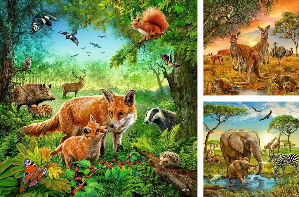 Földrészek Állatai - 3x49 Ravensburger 49 darabos kirakó puzzle (RA - 09330 4005556093304) - puzzlegarden