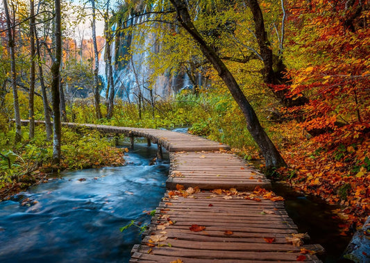 Gyönyörű Gyalogutak - Őszi ösvény az erdőben, Horvátország Ravensburger 1000 darabos kirakó puzzle (RA-12001764) - puzzlegarden